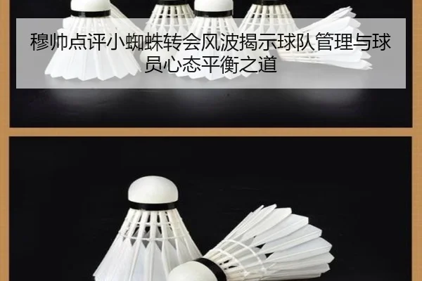 穆帅点评小蜘蛛转会风波揭示球队管理与球员心态平衡之道